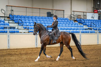 28 ALL BREEDS ADULT EQUITATION ANY DISCIPLINE