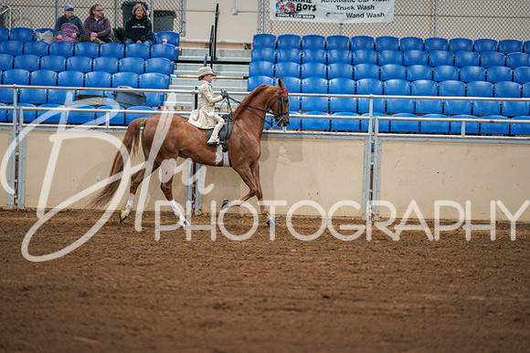 Aurora Show June 8, 2024  - 01602