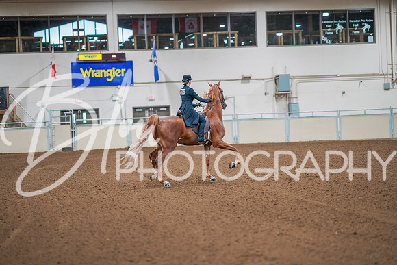 Fall Classic Sept 29, 2024 - 0751