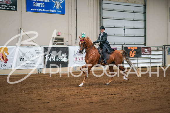 Aurora June 8, 2025 - 1161