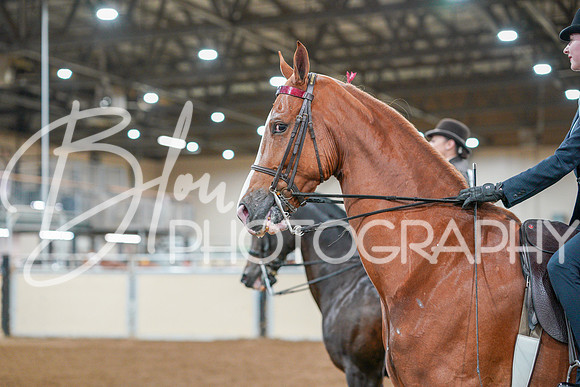Fall Classic Sept 29, 2024 - 0783