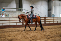 406 - Region 17 Arabian Western Pleasure Select ATR Championship MSH