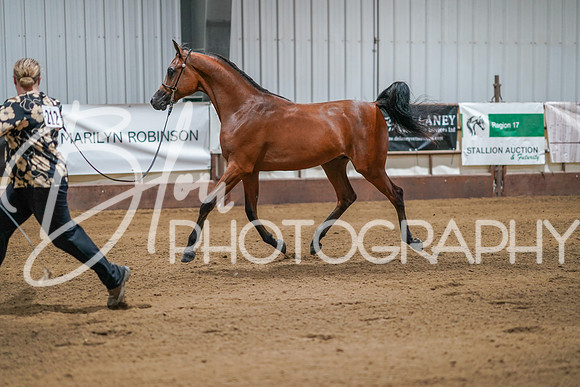 Region 17 June 29, 2024 - 04234