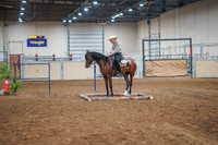 245A ARABIAN Trail Western Jr Horse