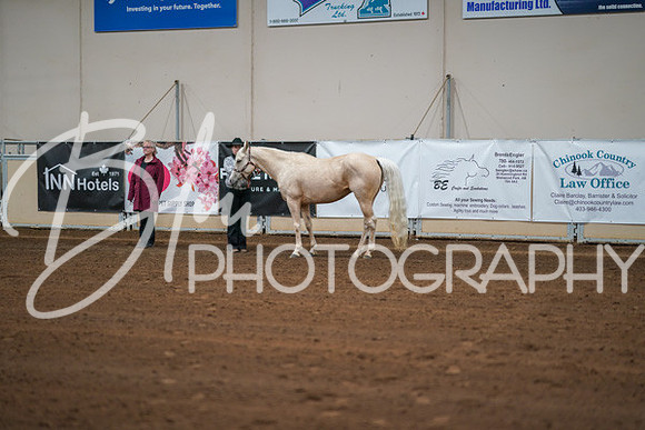 Aurora Show June 8, 2024  - 00181