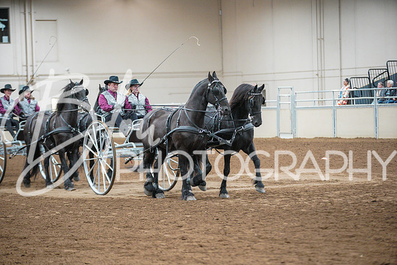 Fall Classic Sept 28, 2024 - 3577