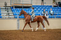 38 - All Breed Walk-Trot Hunt or Saddleseat Equitation, 11 & under