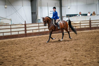 278 Region 17 Arabian Hunter Pleasure JTR Championship
