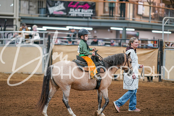 Aurora Show June 8, 2024  - 02398