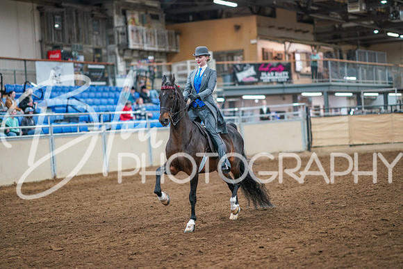 Aurora Show June 8, 2024  - 01649