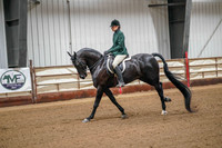 395 Region 17 HA/AA Hunter Pleasure Junior Horse Championship