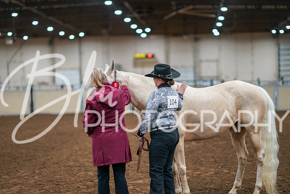 Aurora Show June 8, 2024  - 00456