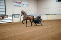 228 ALL BREED Pleasure Driving
