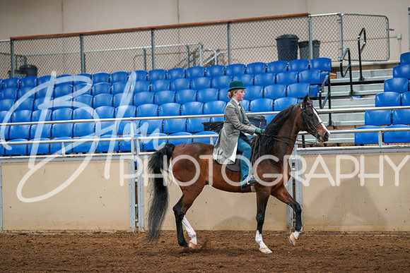 Aurora Show June 6, 2024  - 03903