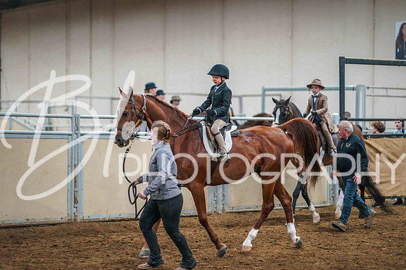 Aurora June 7, 2025 - 3378