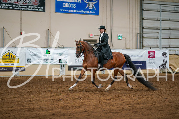 Aurora Show June 6, 2024  - 04748