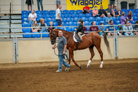 Class 46 - ALL BREEDS LEAD LINE, 6 YEARS AND UNDER