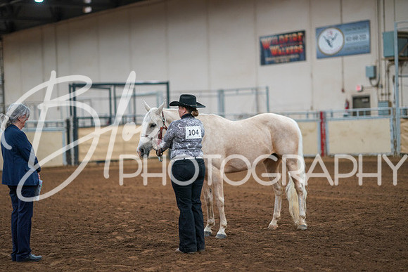 Aurora Show June 8, 2024  - 00421
