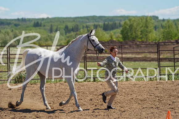 Aurora Show June 6, 2024  - 01584
