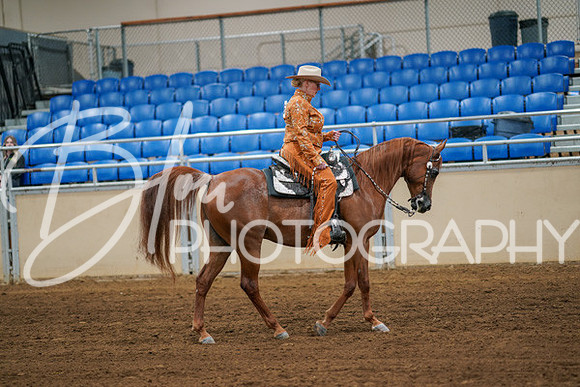 Aurora Show June 6, 2024  - 03802