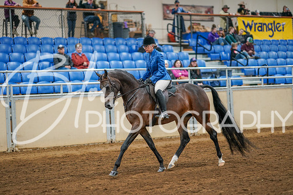Aurora Show June 8, 2024  - 03354