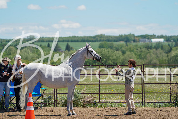 Aurora Show June 6, 2024  - 01561