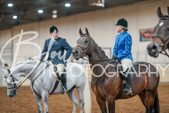 Aurora Show June 8, 2024  - 03406