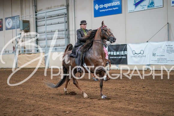 Aurora Show June 8, 2024  - 02992