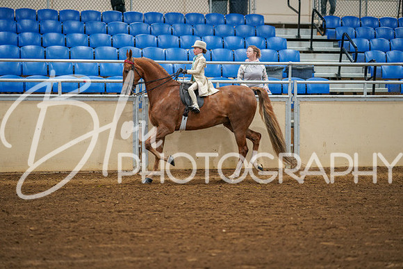 Aurora Show June 8, 2024  - 01562