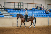 157a - All Breed Academy Walk Trot Jog any age - Limit Rider