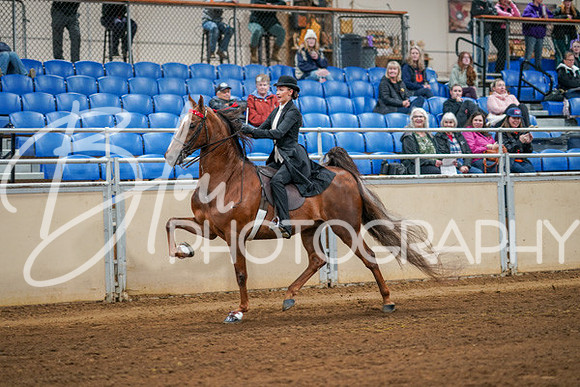 Aurora Show June 8, 2024  - 02843