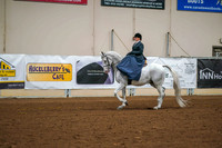 168 - HA/AA Ladies Side Saddle Western/English Open