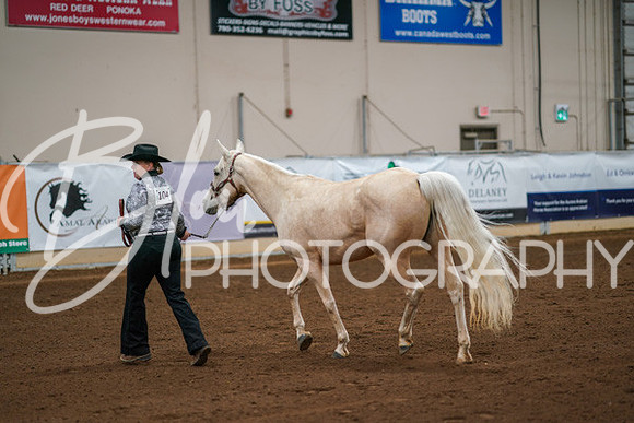 Aurora Show June 8, 2024  - 00444