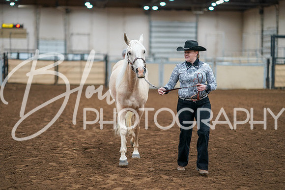 Aurora Show June 8, 2024  - 00439