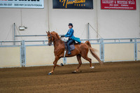 67 ASB 3-GAITED SHOW PLEASURE, SR. RIDER