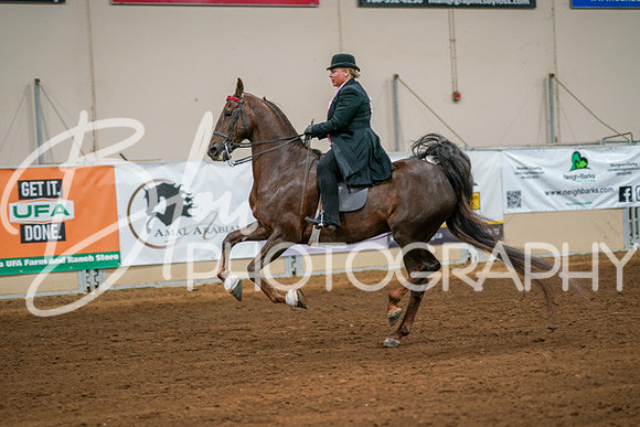 Aurora Show June 8, 2024  - 02941