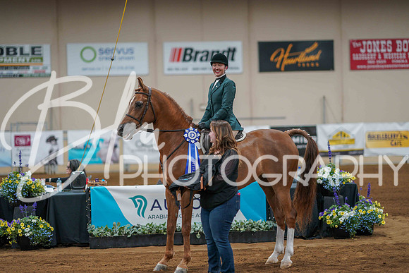 Aurora June 7, 2025 - 4641