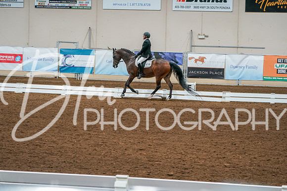 Aurora Show June 6, 2024  - 01079