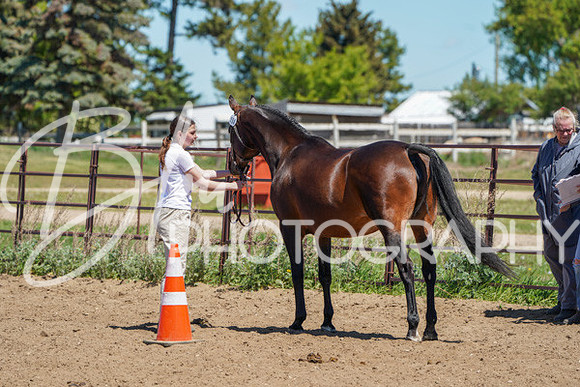 Aurora Show June 6, 2024  - 01608