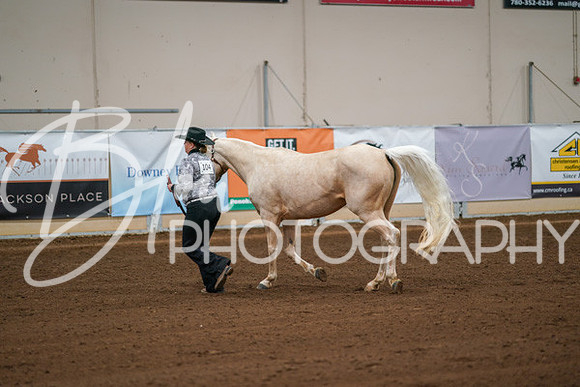 Aurora Show June 8, 2024  - 00447