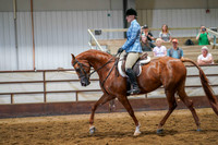 393 Region 17 HA/AA Hunter Pleasure AAOTR Championship