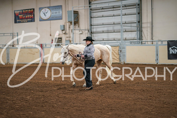 Aurora Show June 8, 2024  - 00413