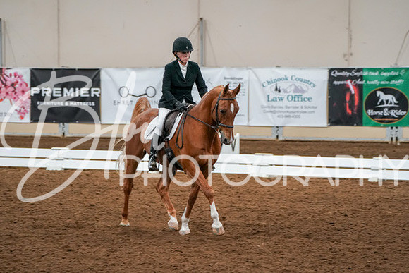 Aurora Show June 6, 2024  - 01039