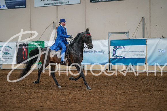 Aurora Show June 8, 2024  - 02611
