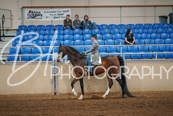 Aurora Show June 6, 2024  - 03865