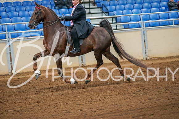 Aurora Show June 8, 2024  - 02808