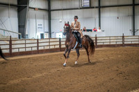 396 Region 17 HA/AA Country English Pleasure AAOTR Championship