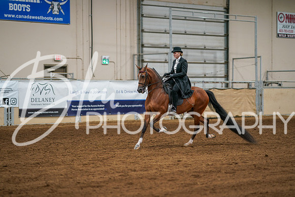 Aurora Show June 6, 2024  - 04745