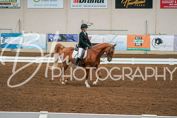 Aurora Show June 6, 2024  - 00992