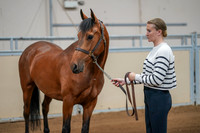 Alberta Charity Horse Show July 12 - 14, 2024